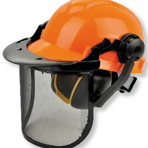 Elmetto protettivo professionale con cuffie e visiera