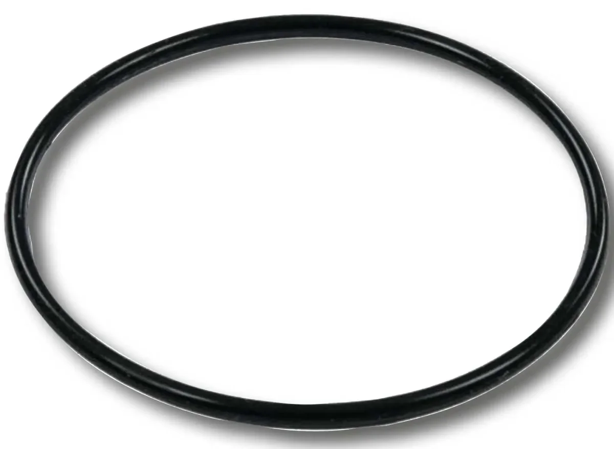 Guarnizione O-RING per serbatoio filtr0 a sabbia 58515
